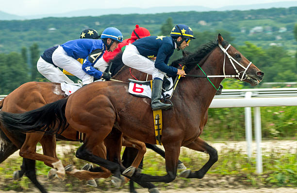 Crypto betting on horse racing